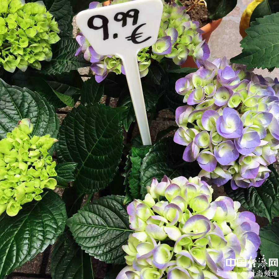 旅途中除了美景、美食 還有一些你不容錯過的事