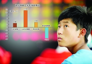 A股這半年 分化格局下的冰與火