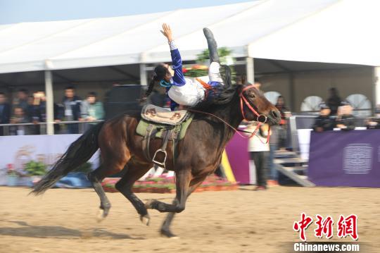 安徽碭山國(guó)際馬術(shù)耐力賽開跑 17國(guó)百余名運(yùn)動(dòng)員參賽