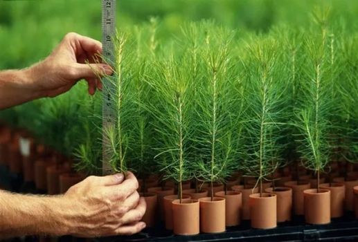 12月新規來了!都是好消息 第一條就讓你超省錢