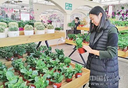 現代農業這樣在各地蓬勃發展