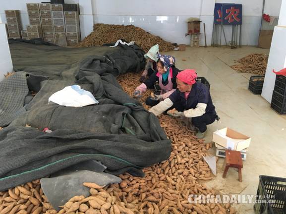 【十九大精神進央企】南方電網：打通扶貧的“最后一公里”