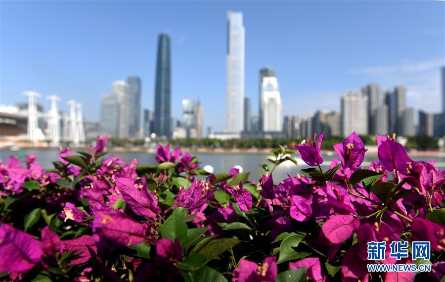 廣州：燈?；ǔ窍蚴澜缯故?#8220;財(cái)富美”