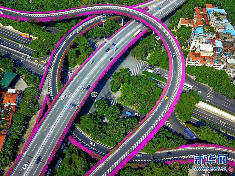 廣州：燈海花城向世界展示“財富美”