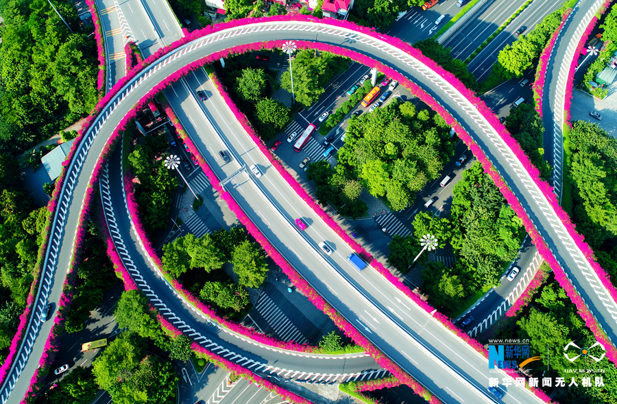 航拍空中花廊 愛上冬日廣州“春光”
