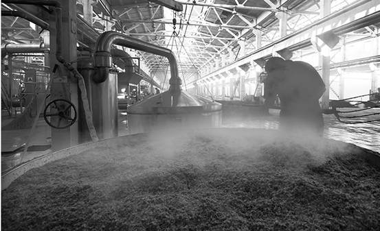 古井小罍子,小酒大有前途