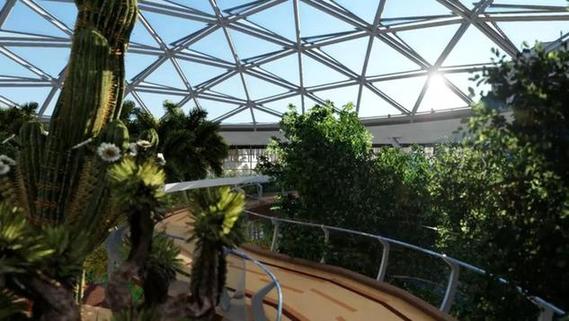 2019北京世園會(huì)植物館“萬花筒”正式發(fā)布