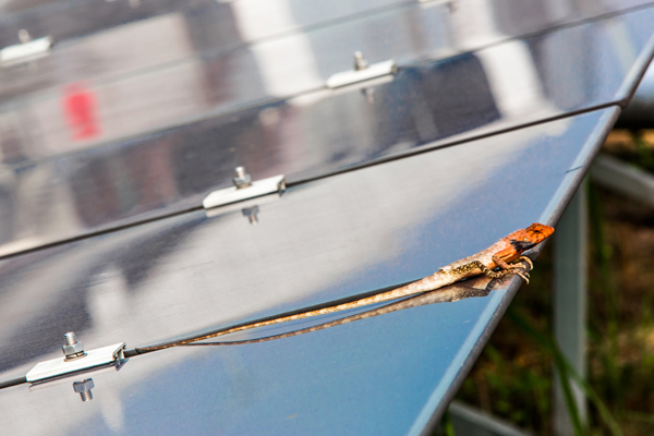 尖端高科技為建筑賦能 中國日報-漢能“陽光之旅”國際攝影師體驗計劃落幕