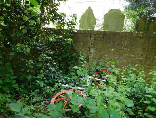 共享單車在英國屢遭破壞 ofo、摩拜表示將加大運維