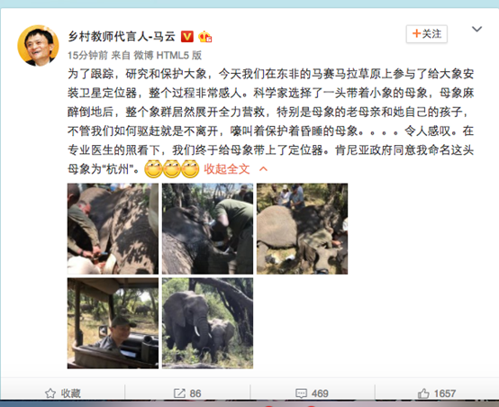 有只遠在非洲的大象，馬云將它命名為“杭州”