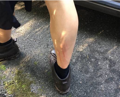 阿里戴珊點(diǎn)贊跳河救人技術(shù)男 “他的世界充滿愛(ài)和勇敢！”——盤(pán)點(diǎn)那些英勇救人的阿里員工